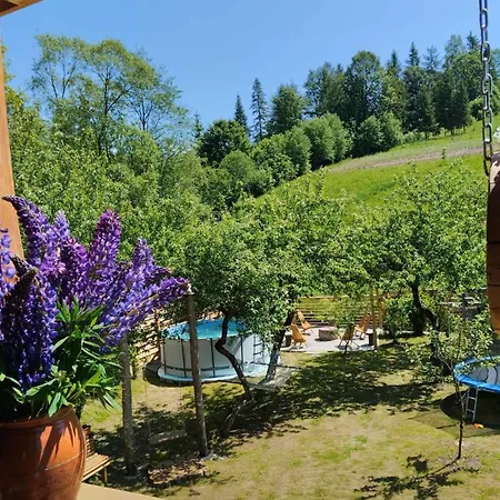 Ferienhaus Svyat House *